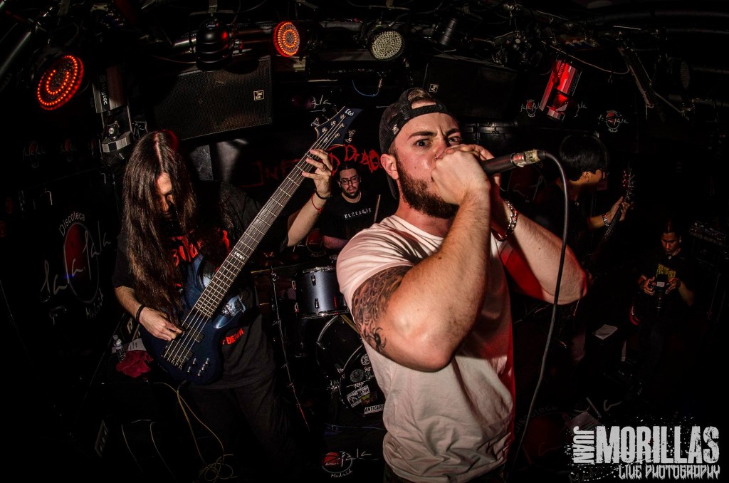 brain removal - from banda