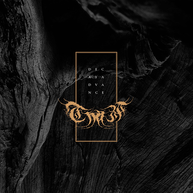 thaw - decay - web