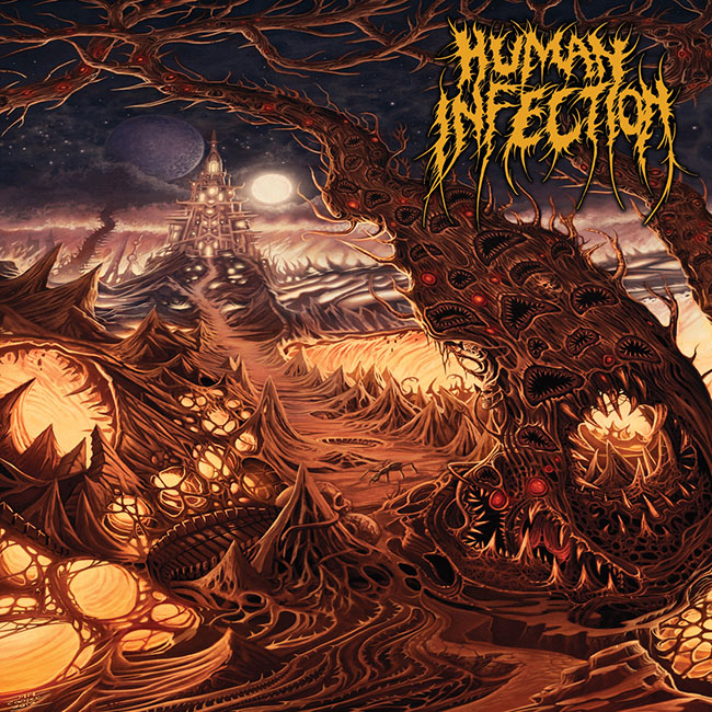 human infection - curvatures - web