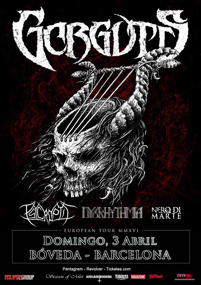 gorguts