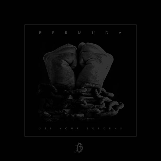 bermuda - use - web