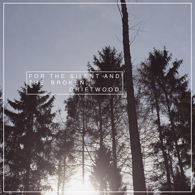 driftwood - for - web