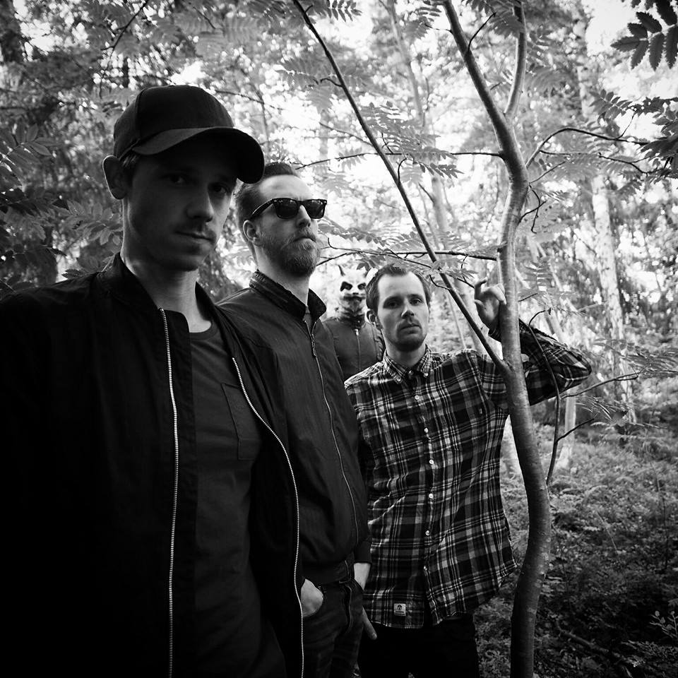 the moth - earth - picture