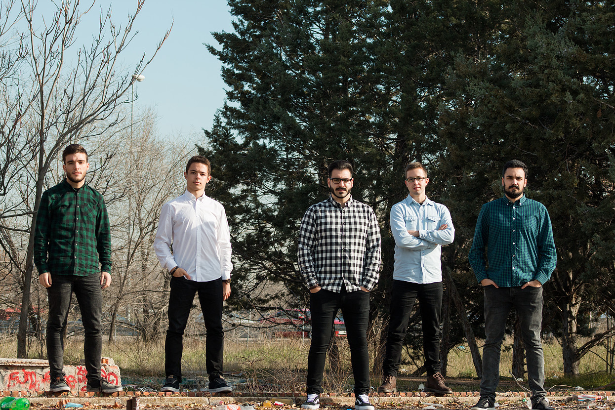 stomatopoda - sibylloine - pict