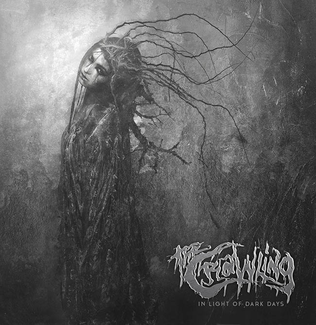 the crawling - light - web