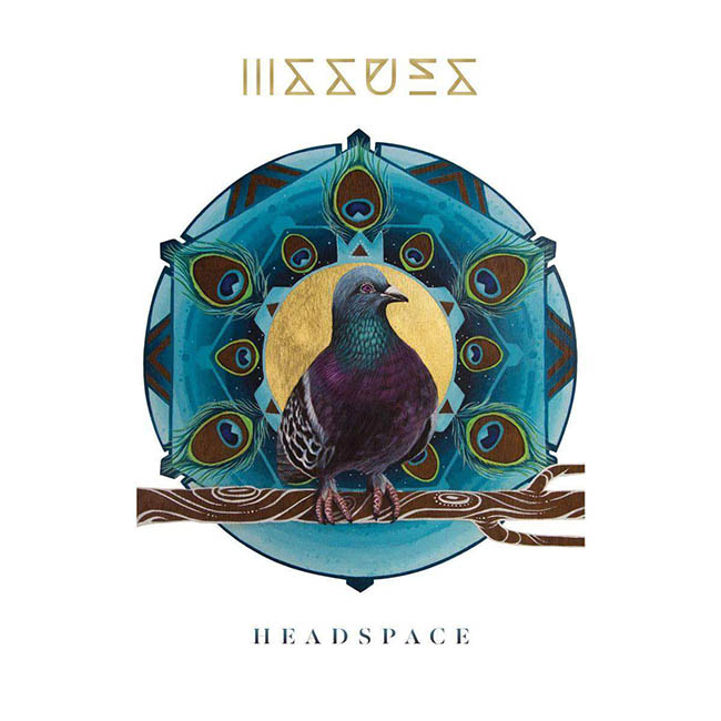 issues - head - web