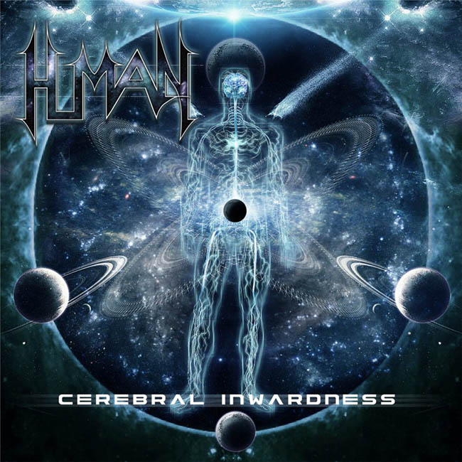 human - cerebral - web